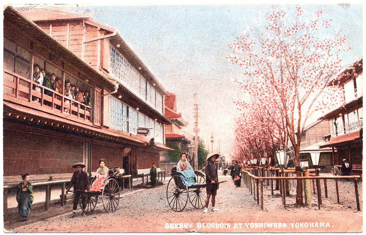 haeckel's tweet photo. 古絵葉書『Cherry Blossom』をGemini Veo2で動画化しました。 #stereoview #freeviewing https://t.co/sb1QFJRly6