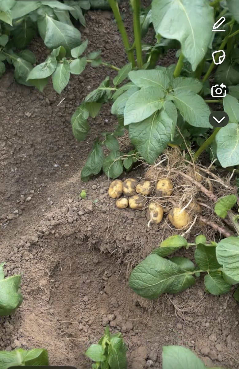 Groeizaam weer ☀️