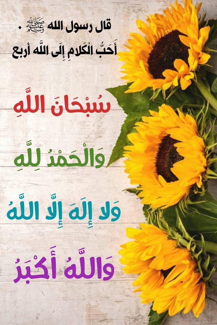 meshkhas65's tweet photo. #استغل_خير_الايام_بذكرالله https://t.co/g130Bk5k43
