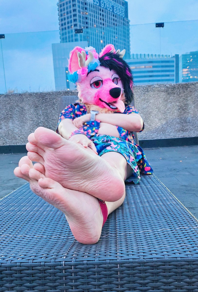 Loving city life! Awoo!~