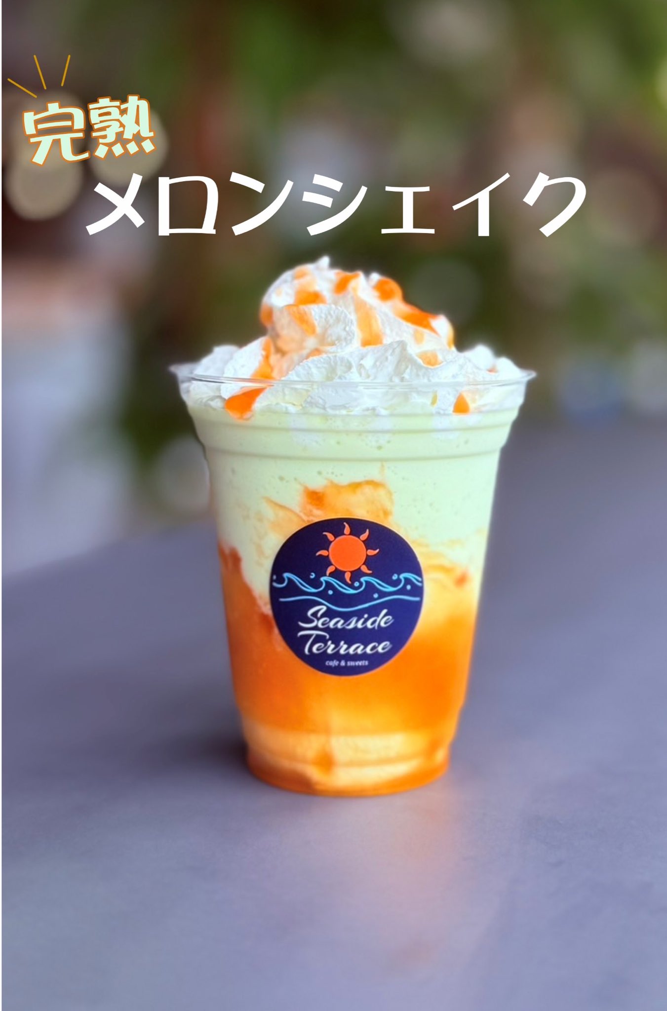 メロンページです。 茨城メロンサイダー2本セット | 大洗まいわい市場