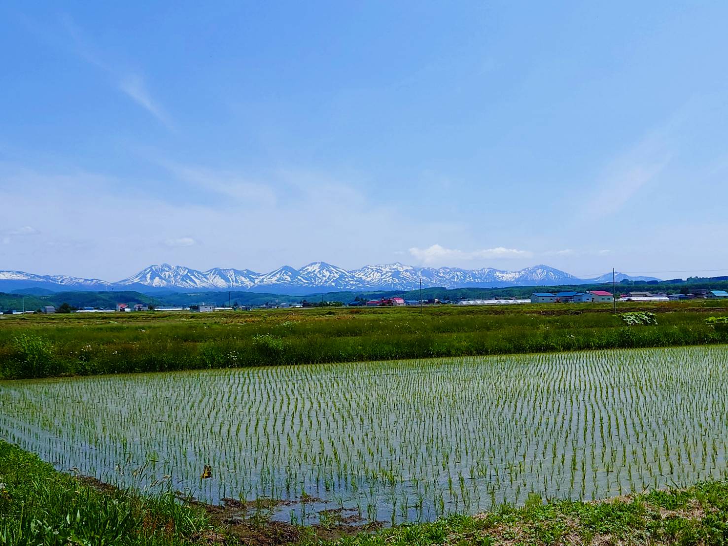 大雪山連峰 - Search / X