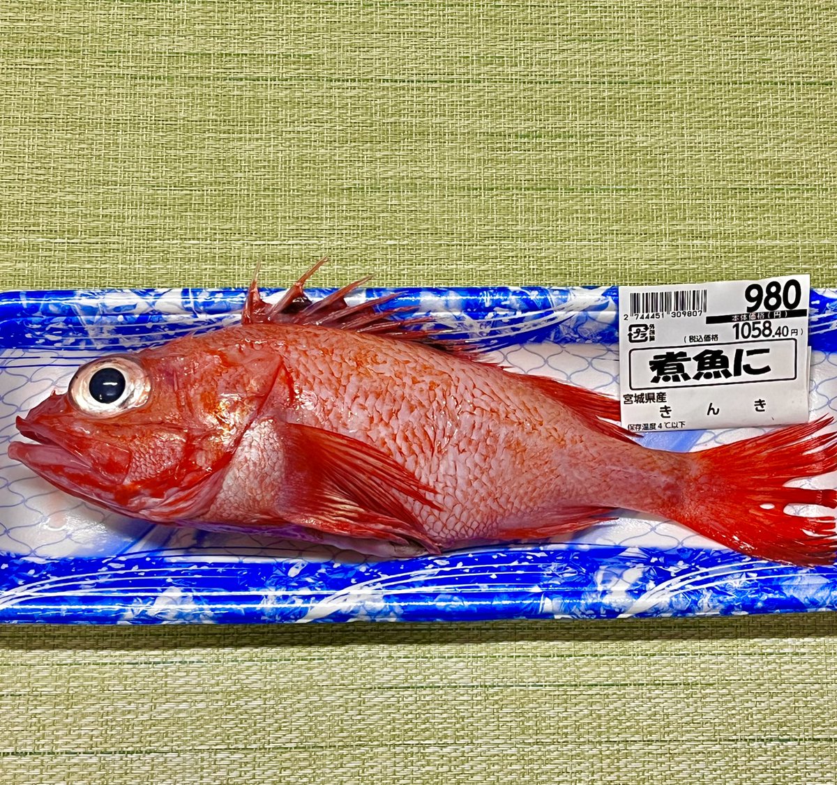 【🐠キンキ】(宮城産)と目が合ったので

お目めがめっちゃキュート💕🥹

でも、
　塩焼きにします。
　　　　　　　　半額でしたー😸

#魚料理 #宮城産
#おうちごはん #晩ごはん #お腹ペコリン部
#料理好きな人と繋がりたい