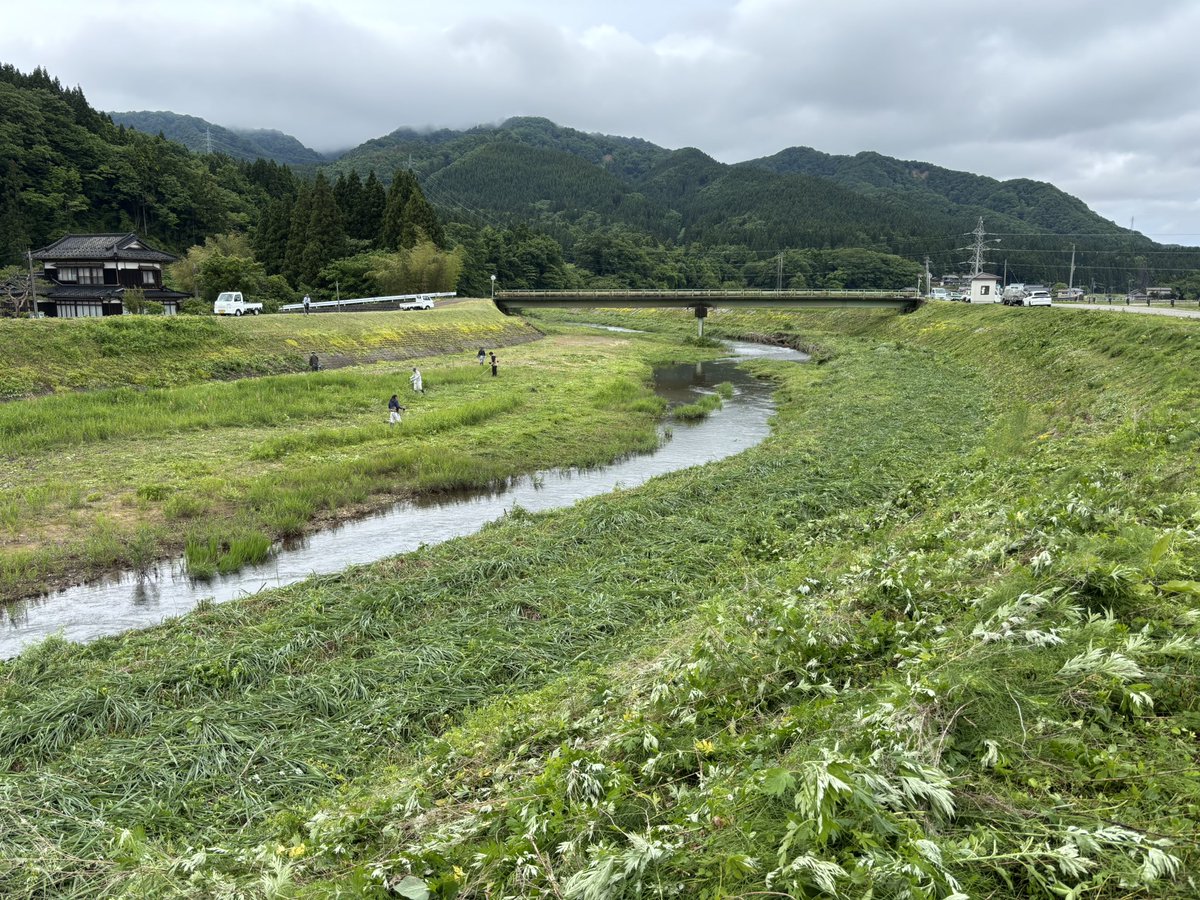 teilevillege's tweet photo. 毎年恒例の川草刈り
一本残らず駆逐してやった https://t.co/sc20tiOYrf