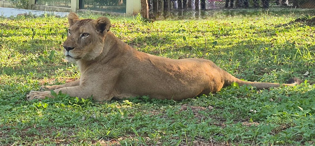 Kittur Rani Channamma Zoological Park tweet media
