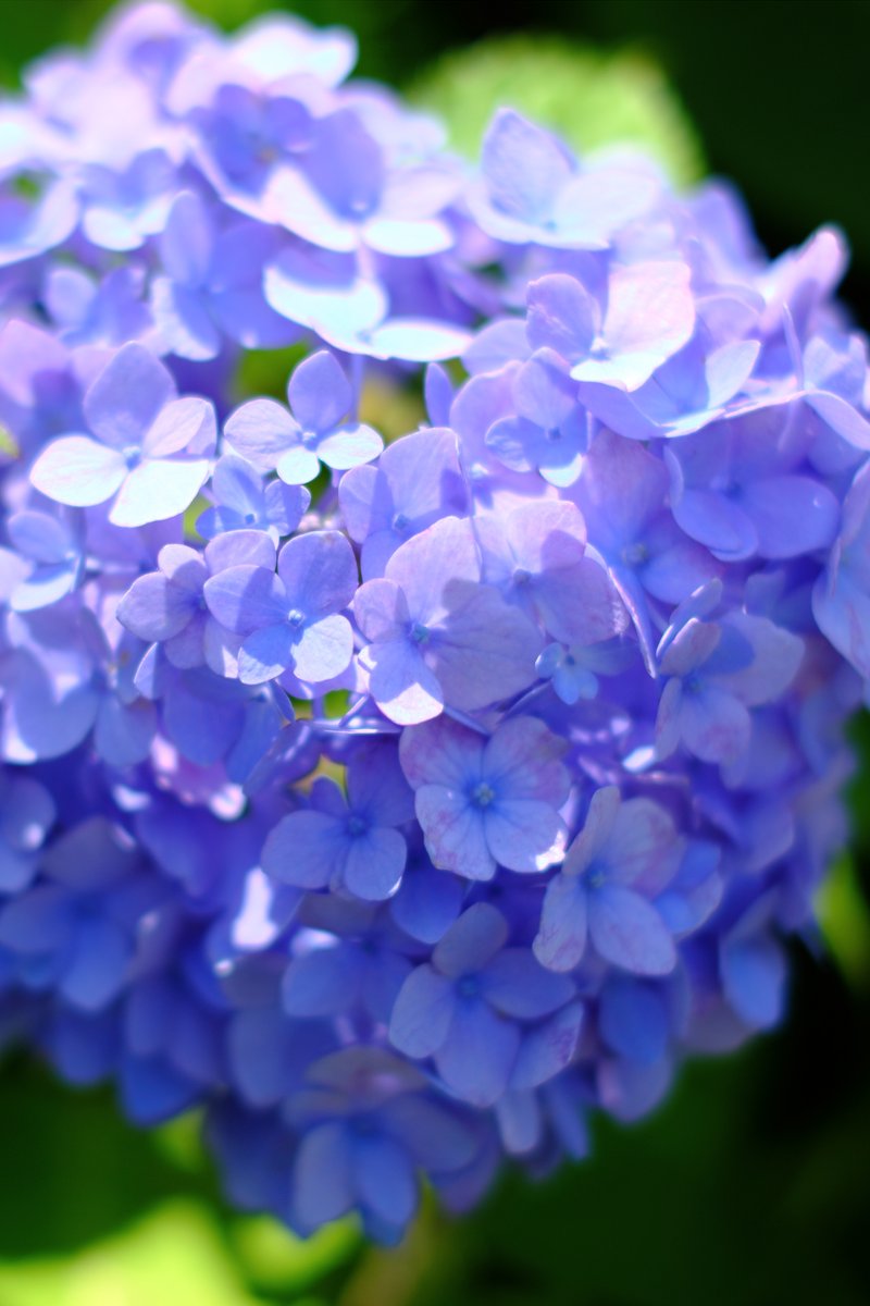 D_Saya's tweet photo. 晴れたのでちょっとだけ https://t.co/yiH498ydiE