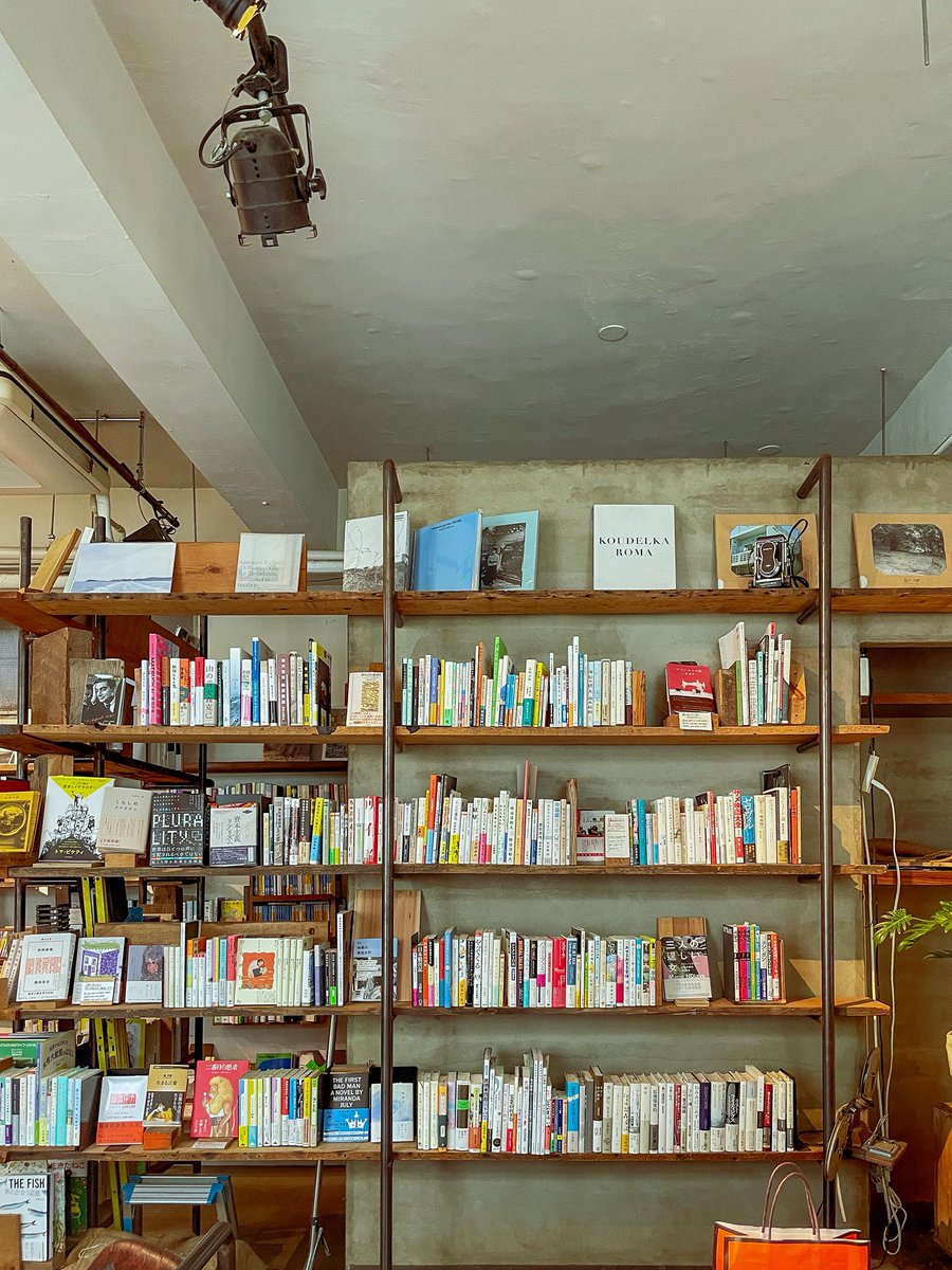 ソーニャ✧Хурмя柿姫 (@stupid_animals) on Twitter photo 