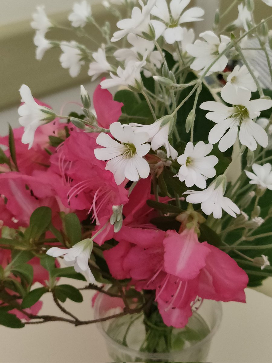 Burzynska Agnieszka tweet media