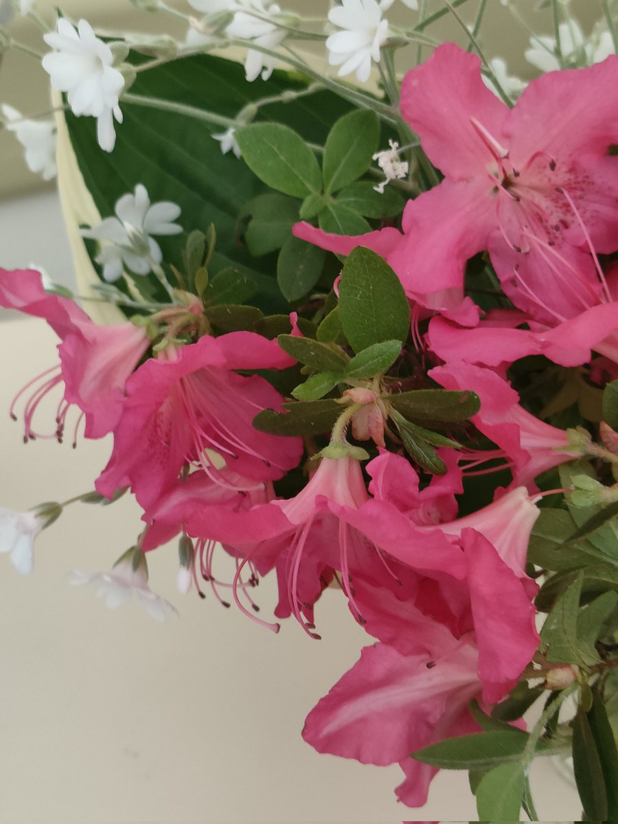 Burzynska Agnieszka tweet media