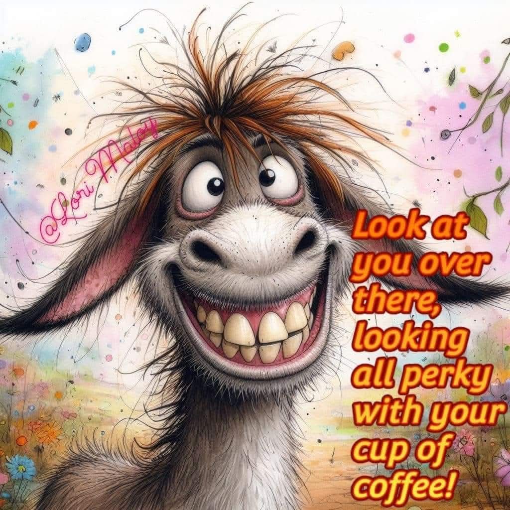 Good morning everyone 👋