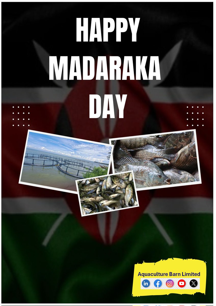 Happy Madaraka Day!🇰🇪
Celebrating freedom, resilience and the spirit of Kenya.