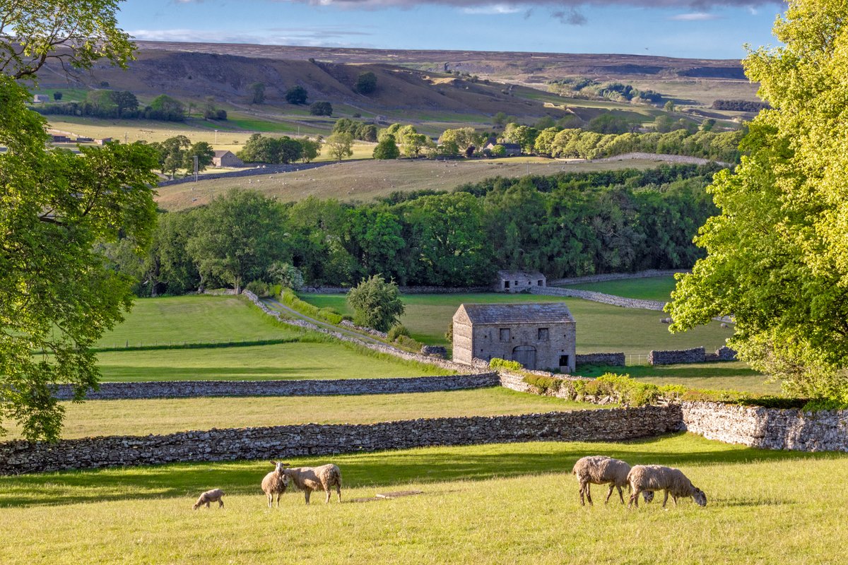 A classic #YorkshireDales view for your #SundayVibes 💚

Snapped between showers just outside #Aysgarth in #Wensleydale earlier this week - the sun hasn't completely given up on us! ⛅

📸 Wendy McDonnell

#Wensleydale #GetOutdoors #StepIntoNature #NatureTherapy #LoveTheDales