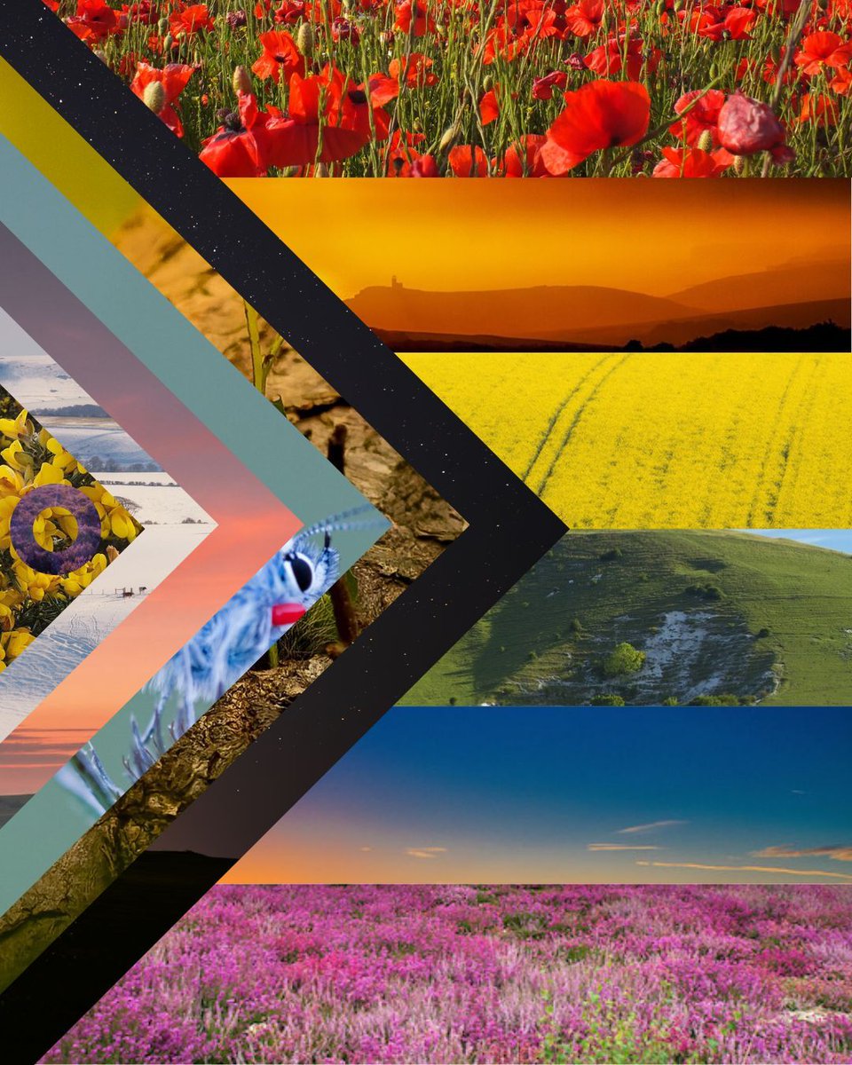 Proudly a National Park for All. 

#SouthDowns #Pride #PrideMonth