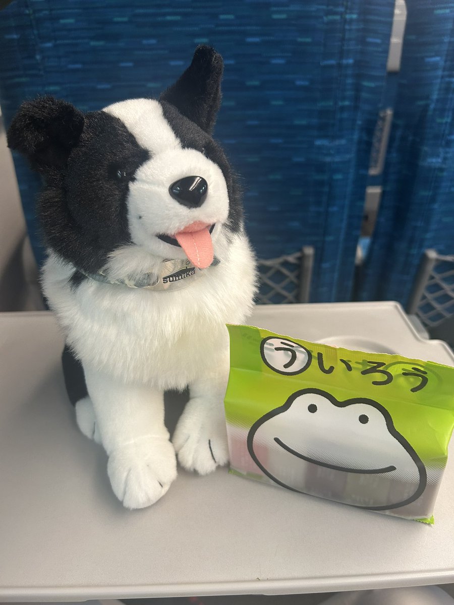 beam_unable's tweet photo. 帰宅します
またな、名古屋！ https://t.co/CU4nfZF1nv