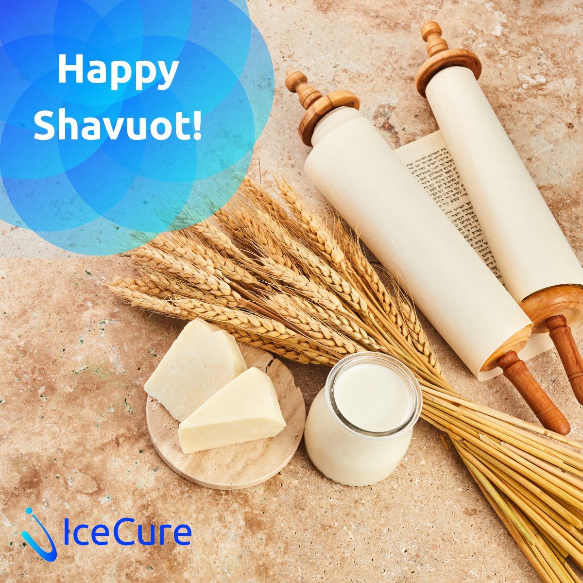 IceCure wishes you a happy Shavuot! 🌾 

Shavuot celebrates the giving of the Torah and the harvest season. May your holiday be filled with blessings and joy. 

Chag Sameach! 🌼