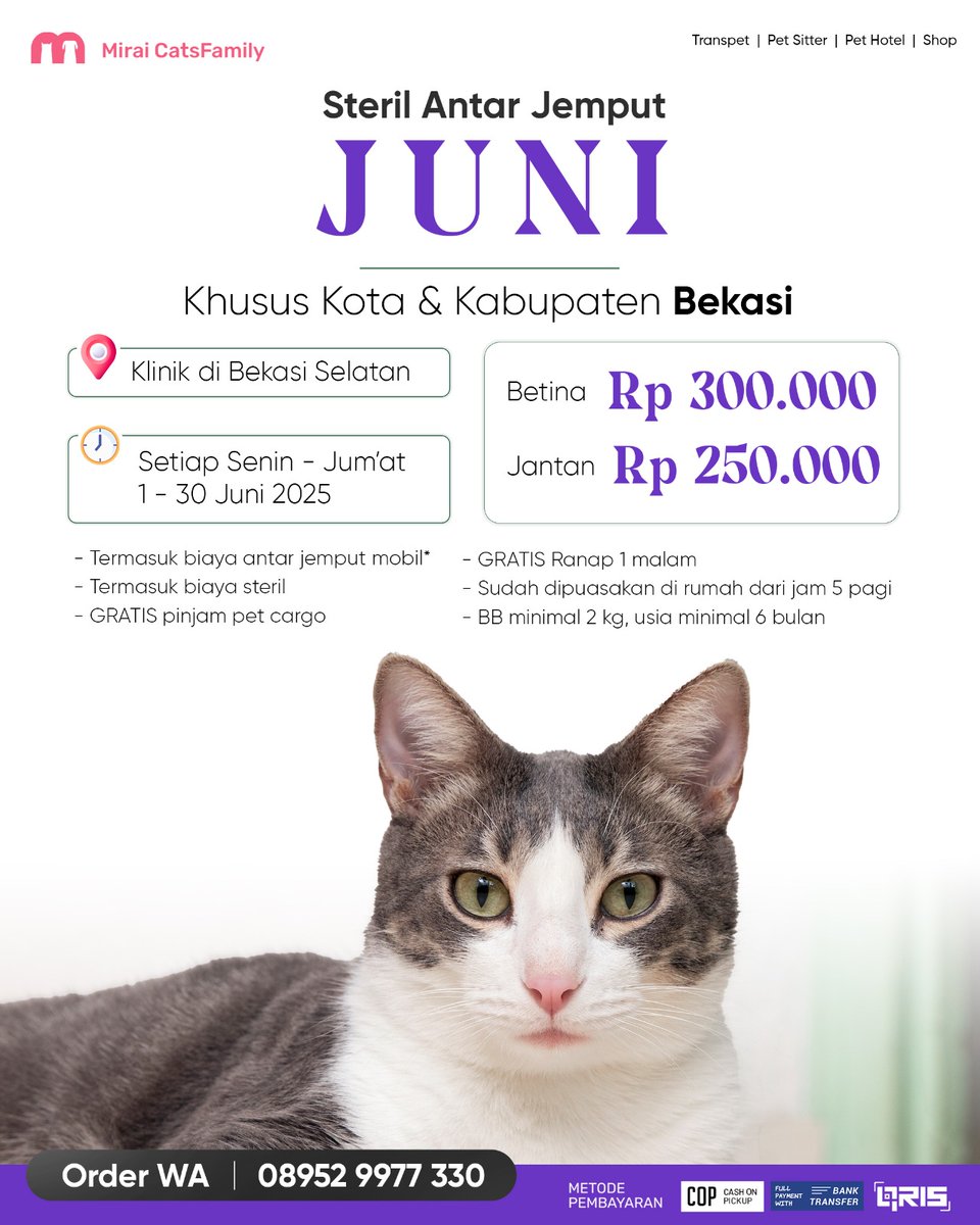 Steril Kcg, Cat Sitter, Pet Hotel Mirai CatsFamily tweet media