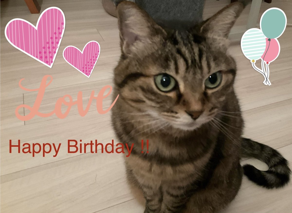 6月1日 ?えるたんお誕生日おめでとう。 健康で過ごしてくれるのが1番 