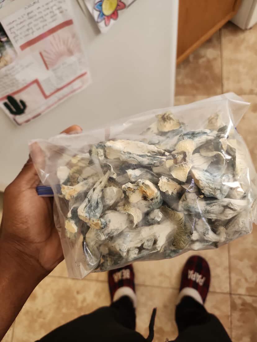 #phx #raves #shrooms #trap