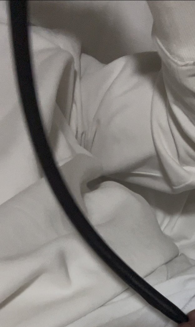 小跟班👣 tweet media