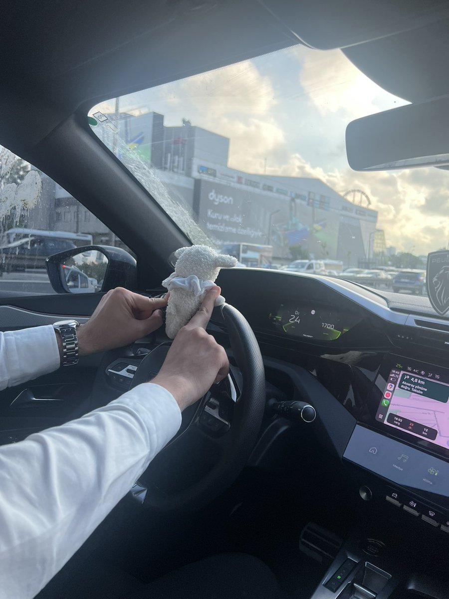 catpiedamla's tweet photo. cinoş araba sürüyor 🛞🏎️ https://t.co/39an8KSjKA