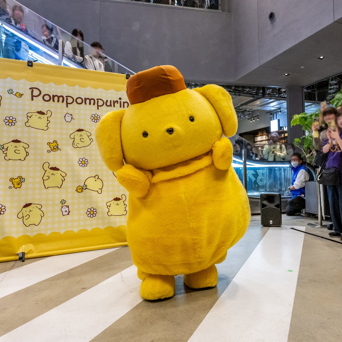 ポムポムプリン ピョーンマスコット 宮下パーク DtimesDeparture on X: 