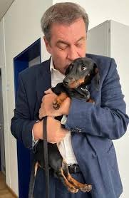 Furchtbare Bilder da 
#CSU 
#soederfrisst auch kleine Hunde 

#Frankfurt