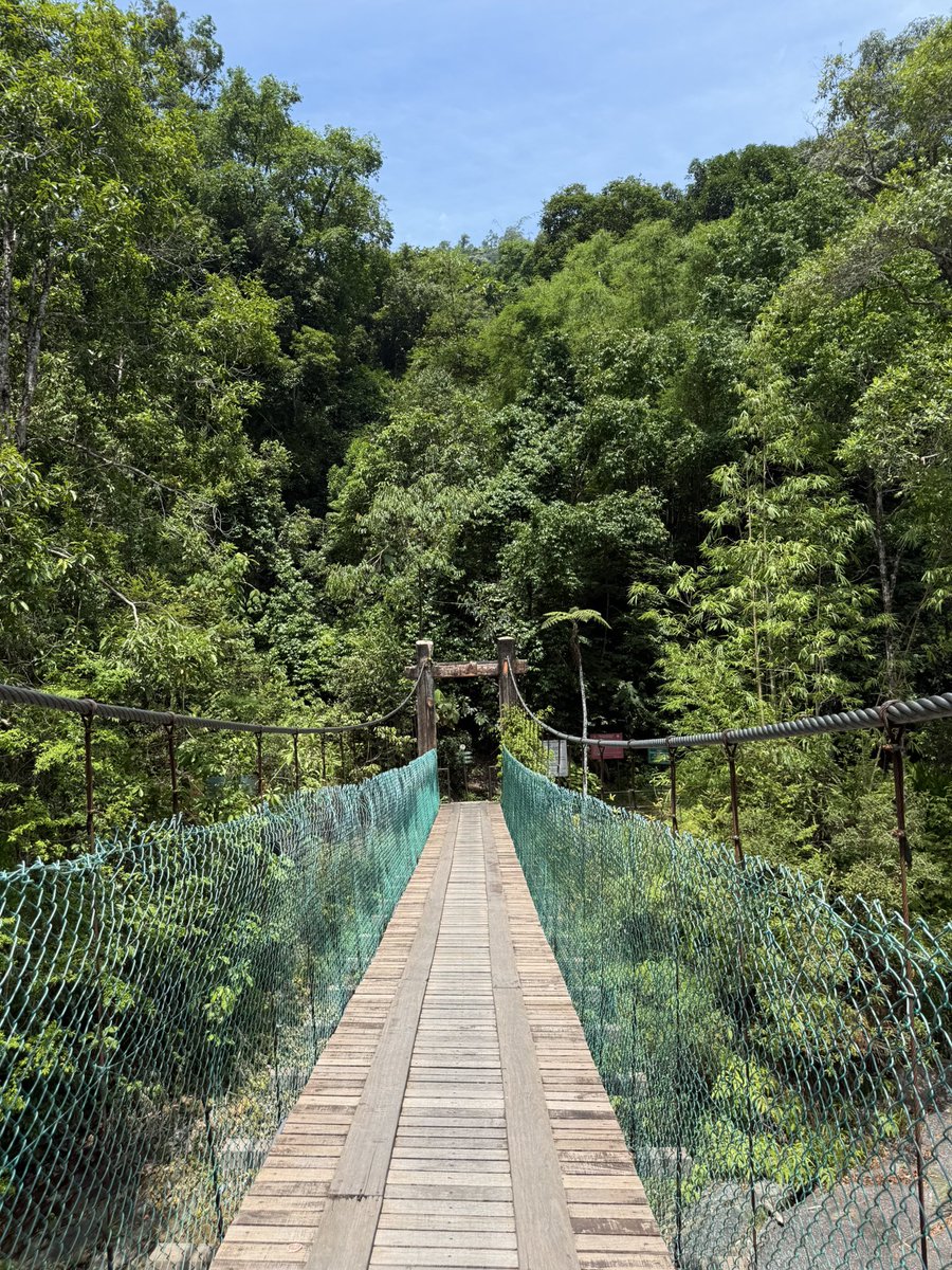 ampm951's tweet photo. Chamang Waterfall
自然に癒される。
#ChamangWaterfall
#malaysia https://t.co/DjyNvqvOXR