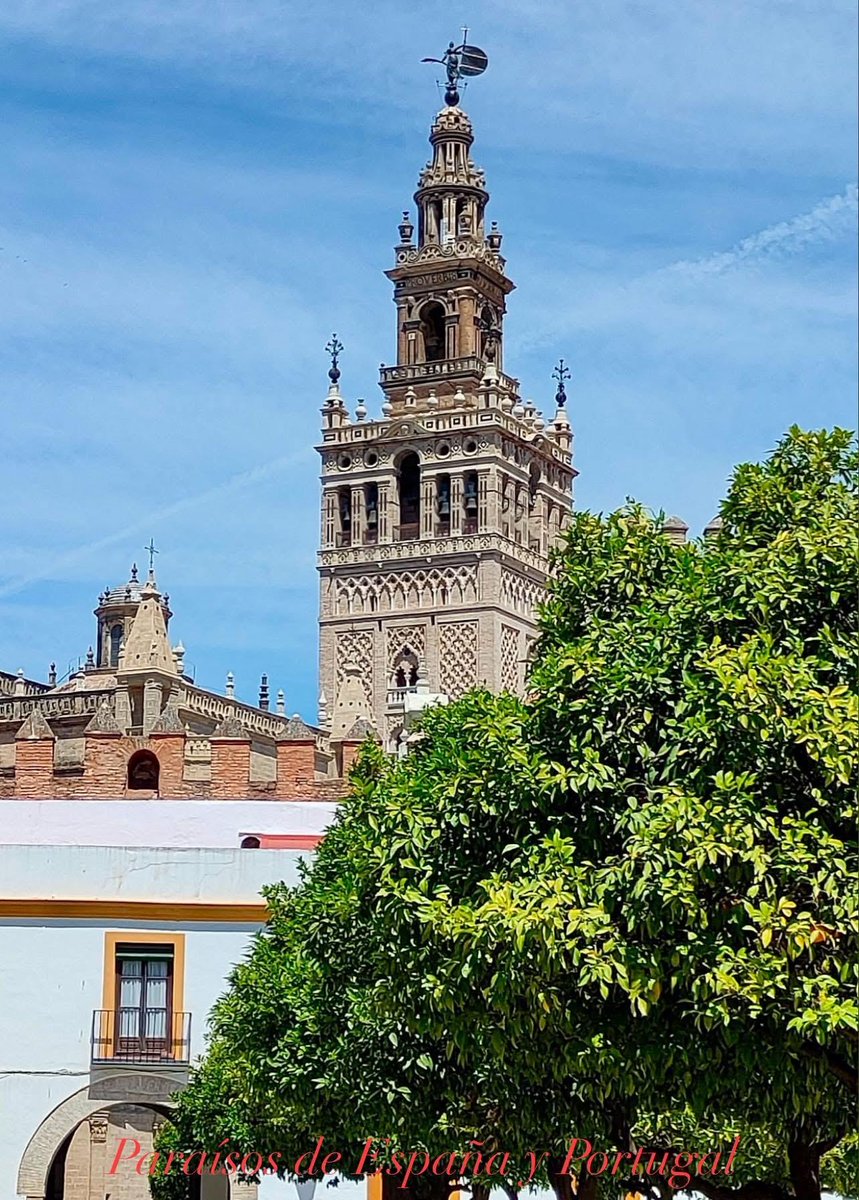 Desde Sevilla. Feliz domingo