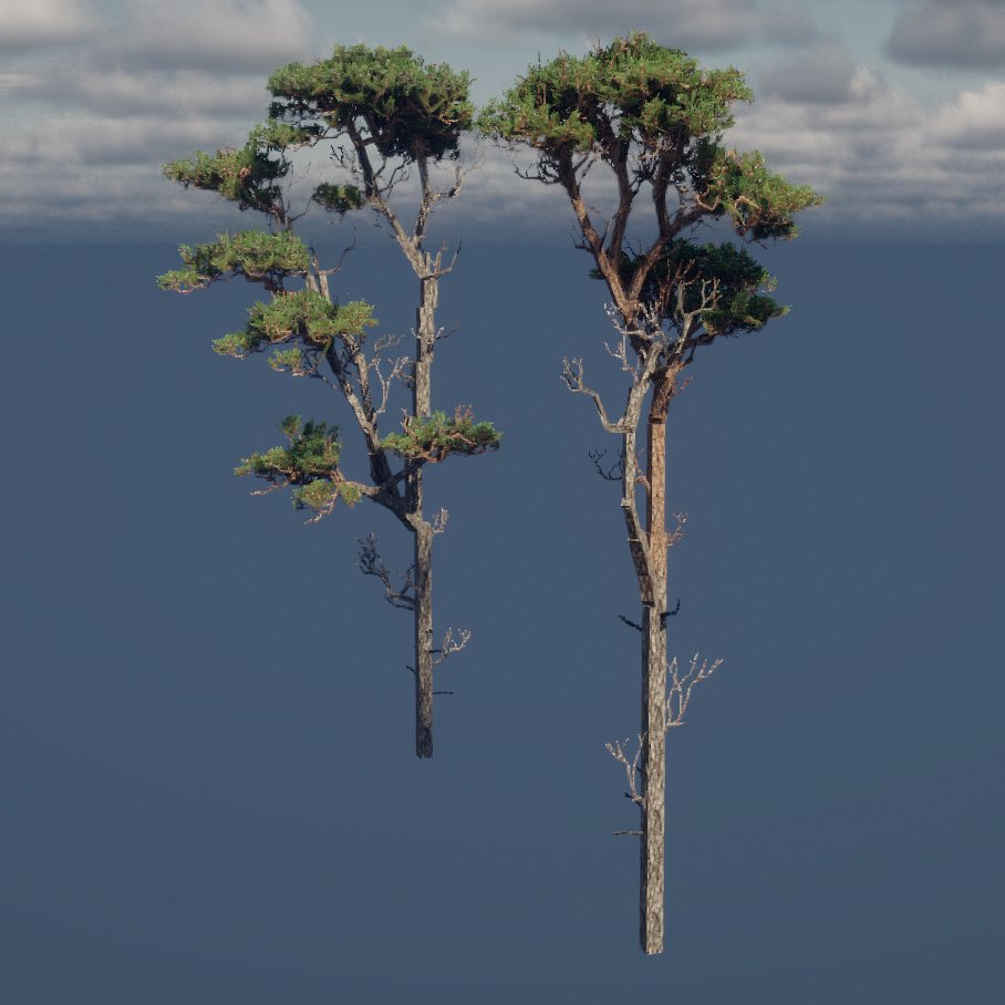 Scots Pine [Pinus sylvestris] [🧵]  

#CREssentialTrees #ArdaCraft #Minecraft #WeAreConquest #ConquestReforged #Natural #Tree #trees