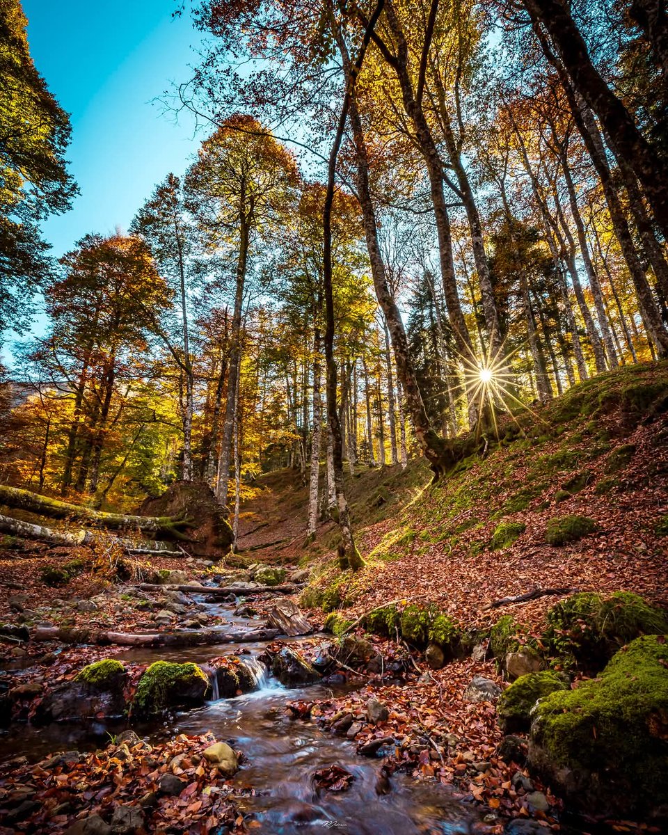 Ser feliz es una decisión que hay que Tomar todos los días.
Que no depende de las condiciones De vida que uno tenga sino de la 
Actitud con la cual afrontar el Problema.
La felicidad es eso: 
Decidir ser feliz."
Buenos días, Feliz domingo 💪