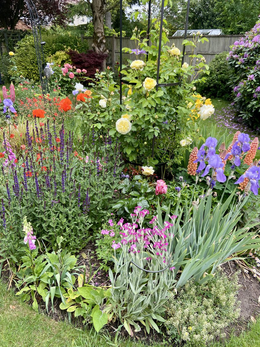 I’m pretty proud of the new border we dug and planted three years ago. It’s really filling out now.