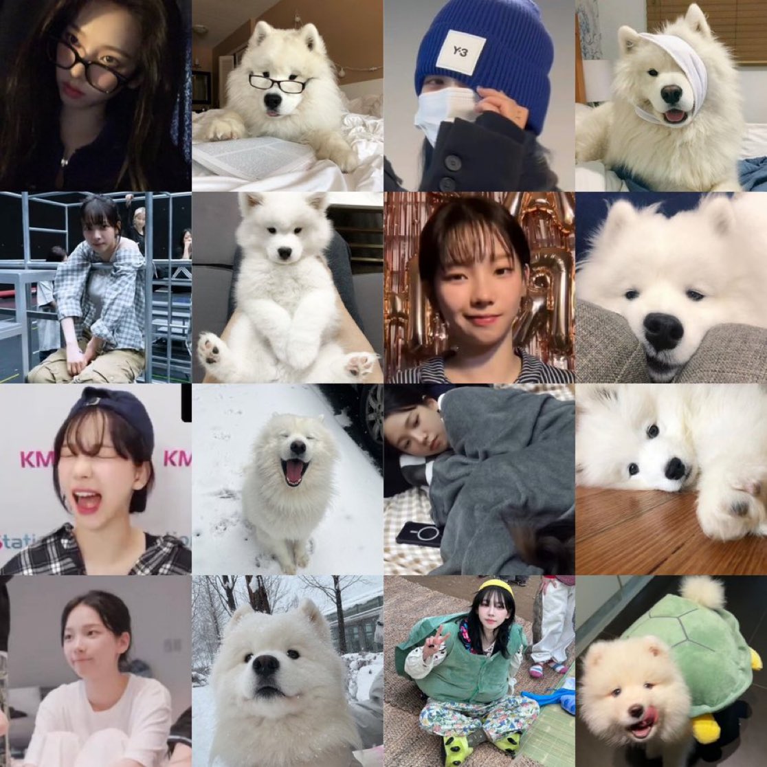 ㅋㅋ 바부 nyang!