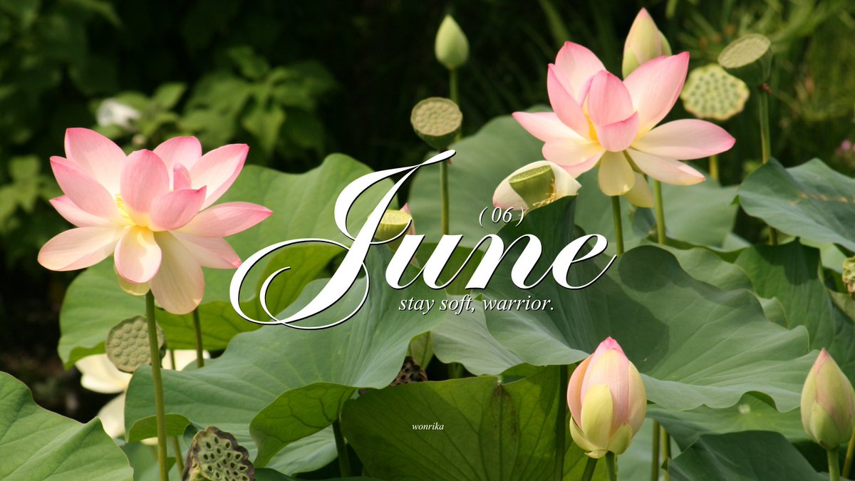 wonrika's tweet image. hello 🪷⋆.˚ june 2025 wallpapers
⤷ desktop, iPad, iPhone / android
⟶ more ; gdrive (hd) below ↓
⟶ for personal use only.
