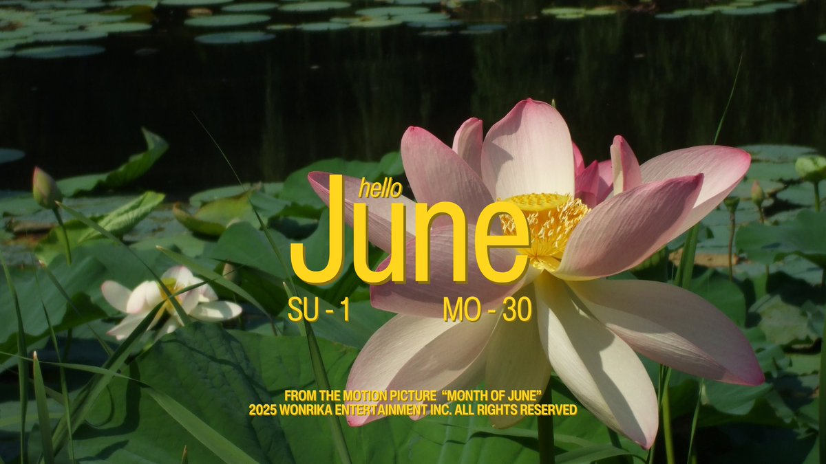 wonrika's tweet image. hello 🪷⋆.˚ june 2025 wallpapers
⤷ desktop, iPad, iPhone / android
⟶ more ; gdrive (hd) below ↓
⟶ for personal use only.