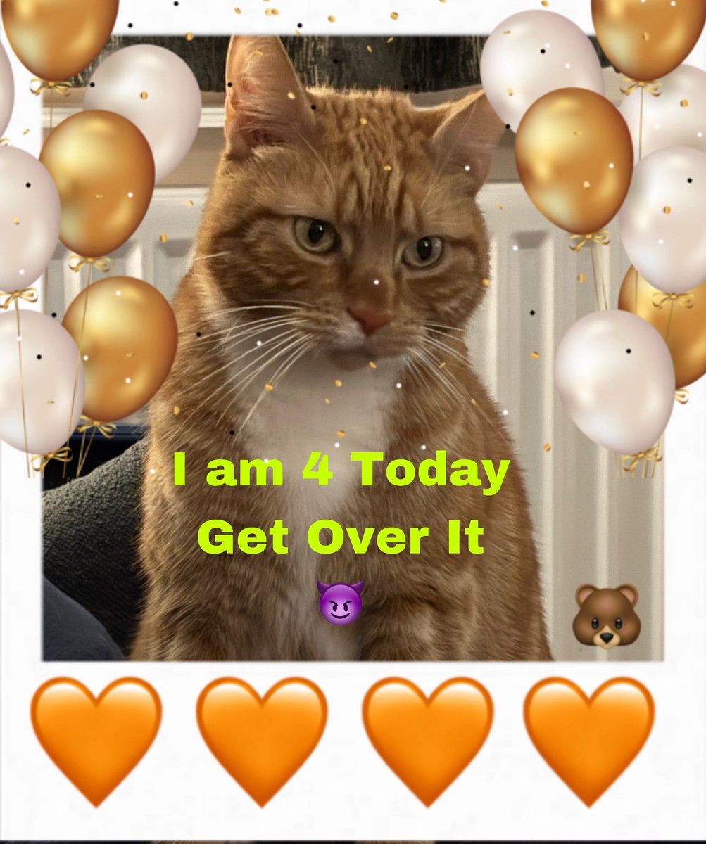 🎈🎁🎉Today efurryone must sing to meownself, gib me elebenty miwyun treato’s, gib me mine faborit bum scritches and uuummm…… oh yeah….. worship me 😈🐾🎉🎁🎈 muuuuummmmteeeee…. Where’s dem dreamies 😈
