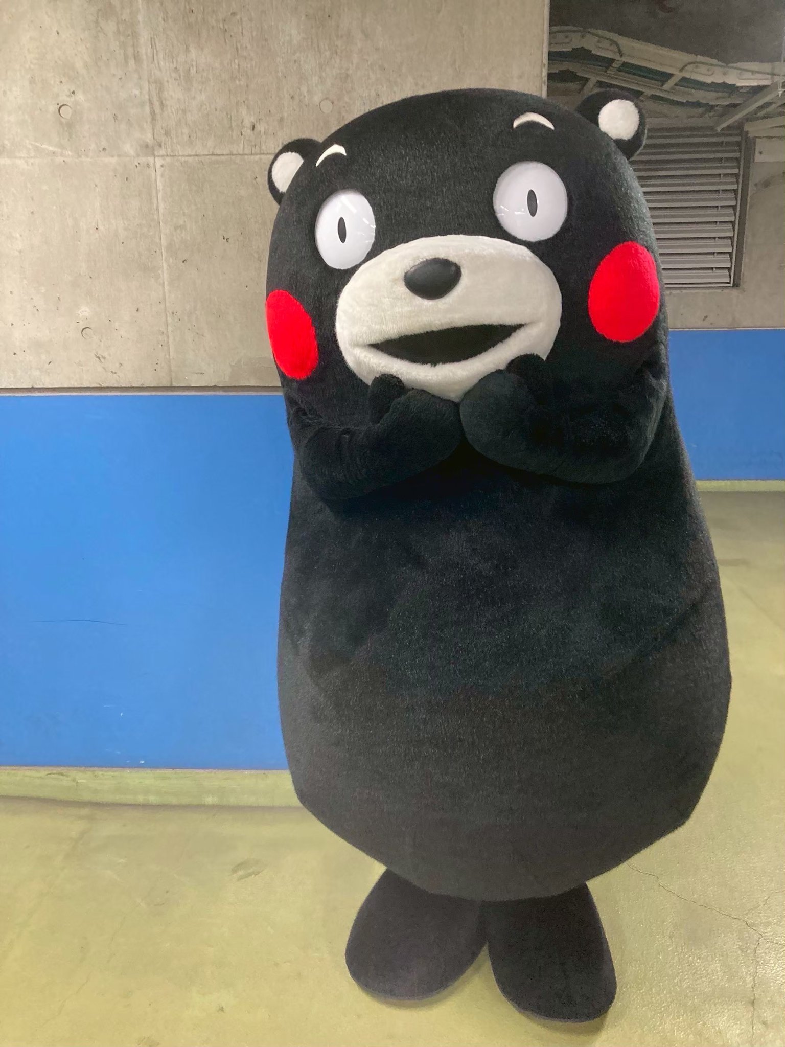 くまモンになりました くまモンもん」(MV) ※英語歌詞字幕付き 