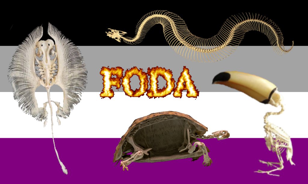 Ansiosa pro cellbit postar essa foto aqui