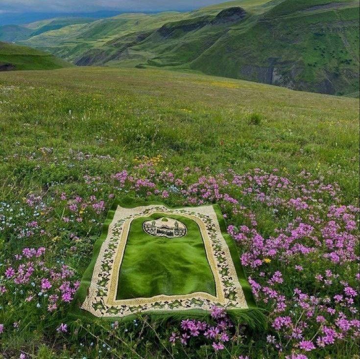 fikriyatcom's tweet photo. ✨“Rabbin için sabret.”

Müddessir, 7 https://t.co/efwhEQhoMU