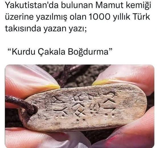 Vatan Turan (@tncer0616) on Twitter photo 