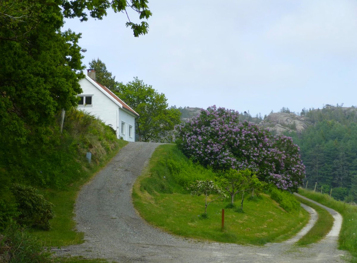 Ein syrinsving
syr sommaren saman
sting for sting.