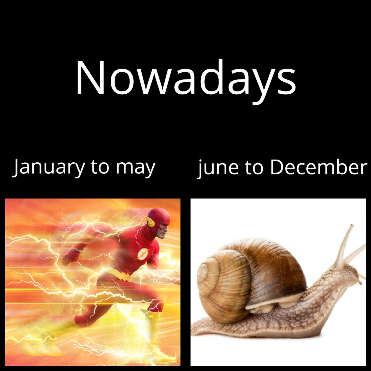 vhaghar_x's tweet photo. Jan-May: Life’s a sprint 🏃♂️💨
June-Dec: Life’s a Monday morning meeting... with no coffee 🐢☕”
#TimeFlies #memes #RelatableAF #FastVsSlow #2025Vibes #MemeMood
(Parasite orginal 🥶) https://t.co/vgiZAavqBr