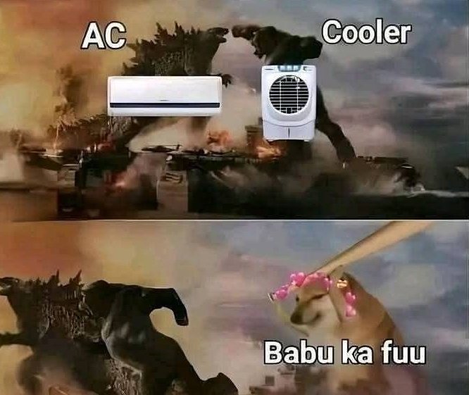 Nibba Nibbi's in Summer😂