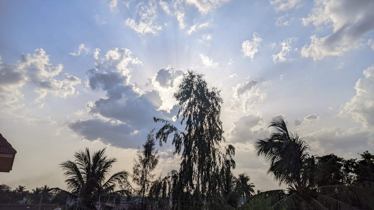 JollyboyMe's tweet image. Shot on #Realme6 not #Realmegt6t 

@Siva_Bharani