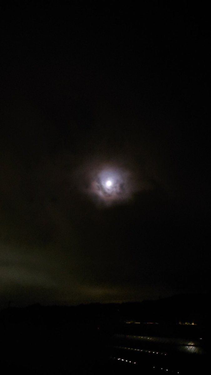 今空です。カエル声が響わたっています。