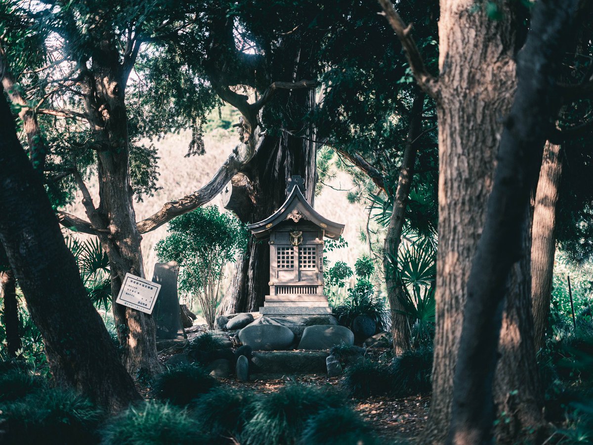 稀に夢の中で見るような景色に出会う