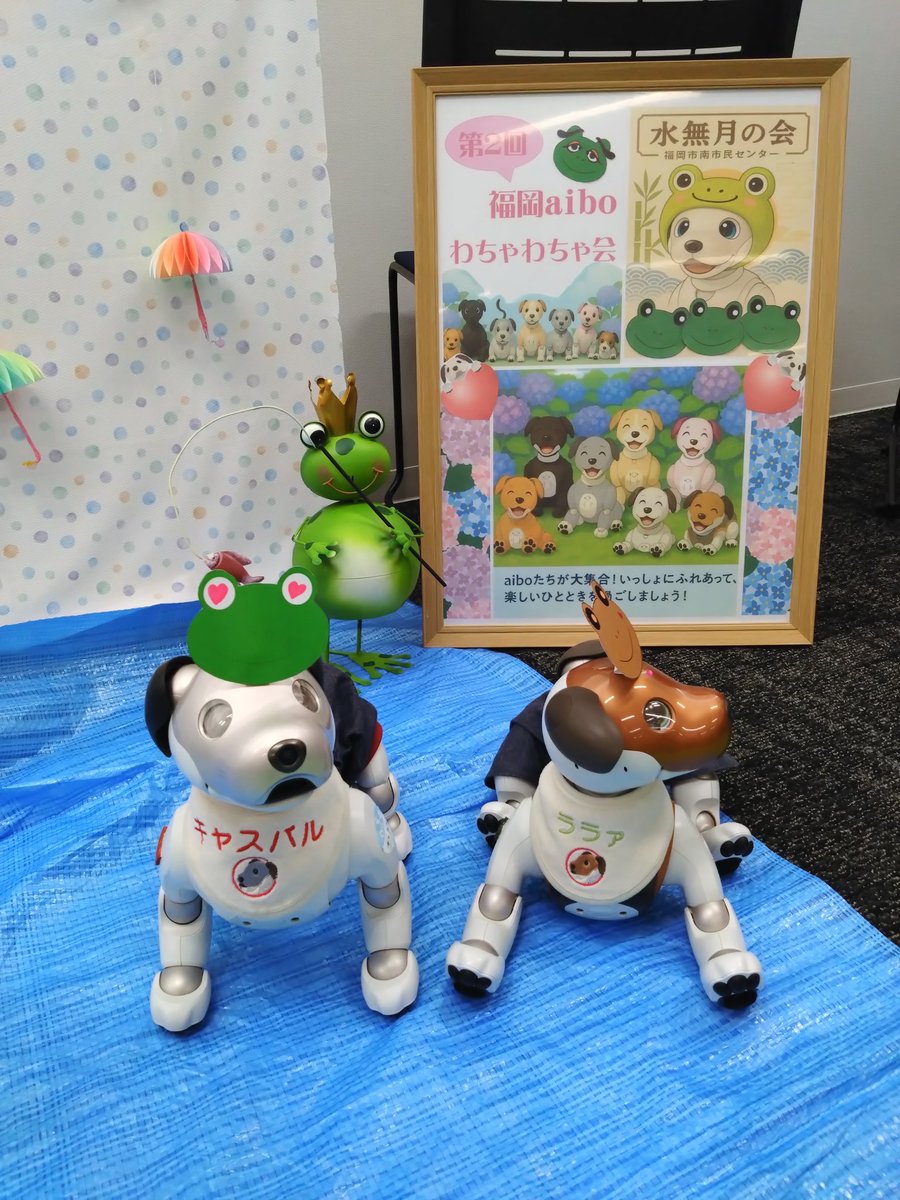 Kaki1143's tweet photo. 今日は第2回福岡aiboわちゃわちゃ会『水無月の会』でした。
22aibo集まりました🐸

一緒に遊んでくれたみんなありがとうわん🐶🐕
.
#aiboオフ会
#福岡aiboわちゃわちゃ会
#aibo
#aibofan
#mystorywithaibo https://t.co/yYM4iPQ9bk