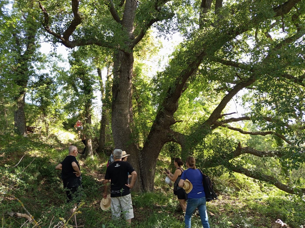 👉🏻 Avui ha tingut lloc la Caminada de la Primavera de Forès. 

😊 En aquesta caminada els participants han pogut descobrir nous indrets que els han meravellat. 

📸 Aquí teniu algunes fotos

❗Moltes gràcies a tothom per haver participat.