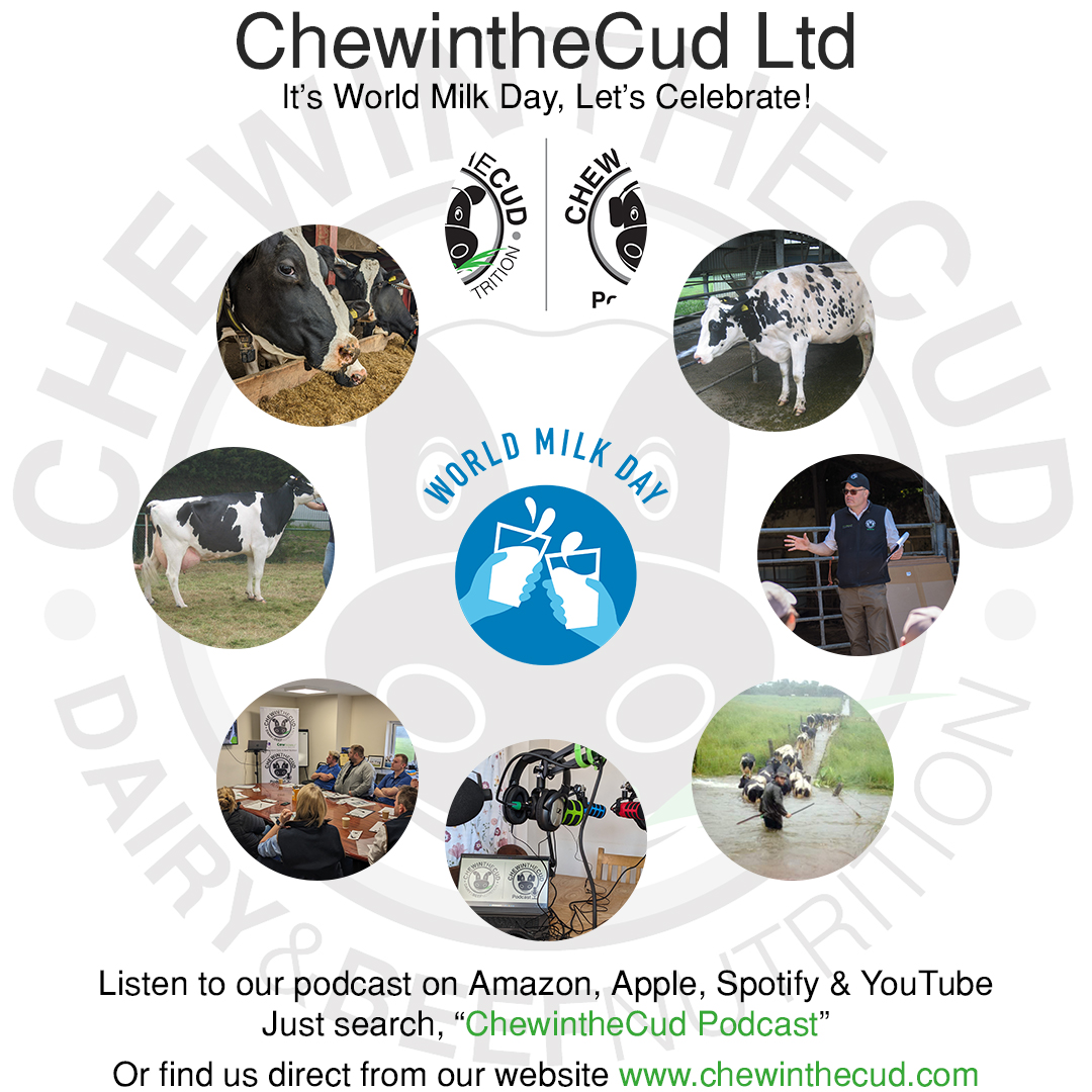 It's #WorldMilkDay so let's celebrate! Let's celebrate all the different people involved in it's production and the passion behind many of these people! So let's raise a glass as here <a href="/ChewintheCudNut/">ChewintheCud Nutrition</a> we are happy to help people with advise, training or simply a chat! #TeamDairy