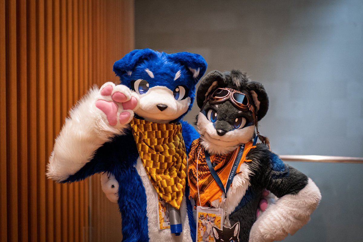 がさぶろーくんと写真撮ってもらったよ！
もつ鍋<a href="/motsu_nabeee/">もつ鍋❄️</a> さんありがとう✨
がさぶろー<a href="/dasi_gaji/">dasi (だし)</a> くん顔小さくてポージングも可愛くて最高🙌
さすがおにーちゃんの弟！
とてもとても推しなんだ
会えて嬉しかったー🫶
#ケモスク9
#ケモノスクエア