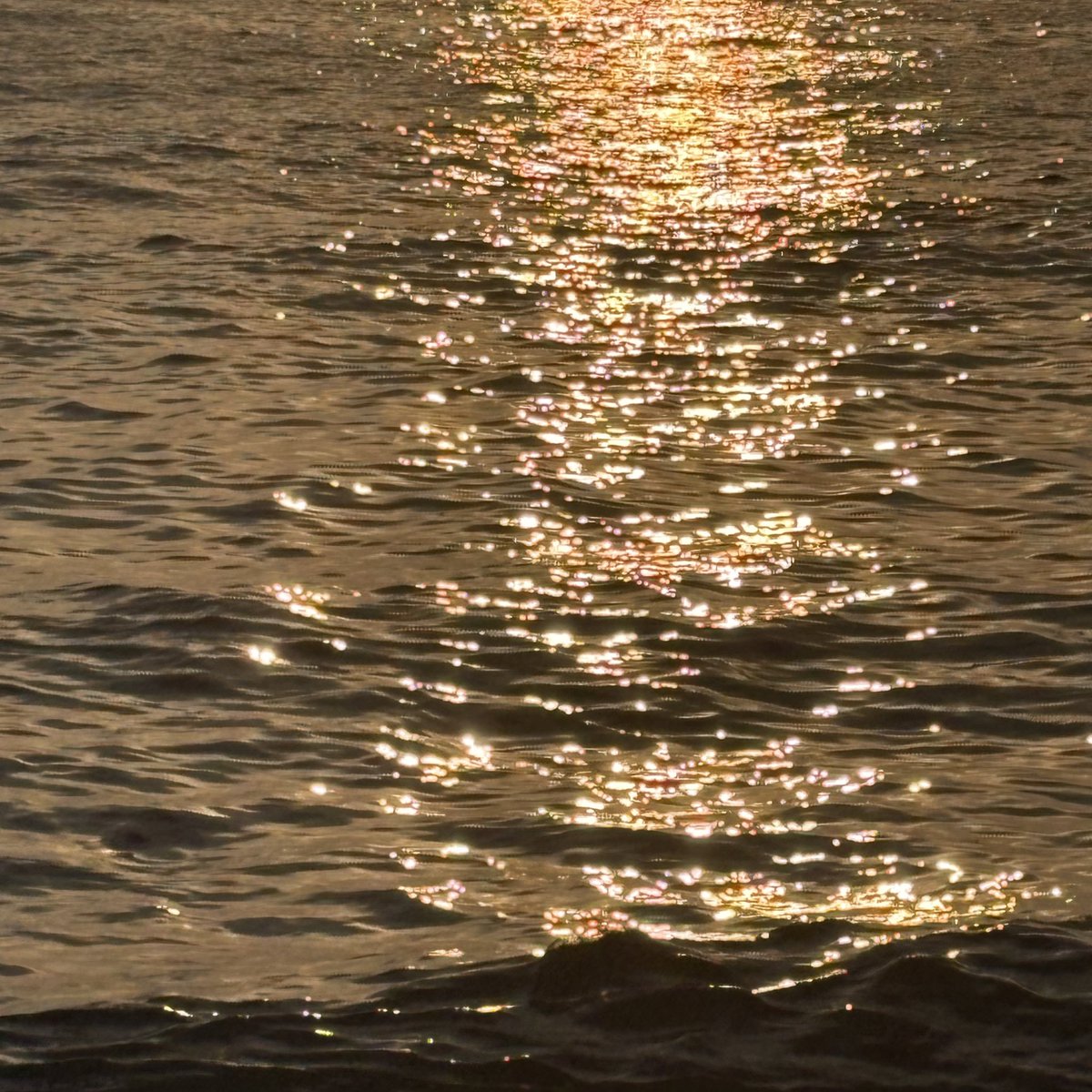 일출봣삼 님들인생에도해가떳음조켓는데제해가가장밝앗으면좋겟삼 ㅎ